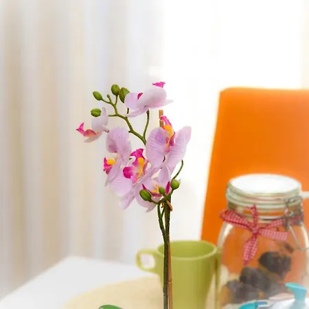 Capo House * 巴勒莫